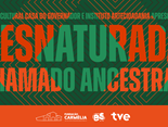 Captura de tela 2025-05-14 141001